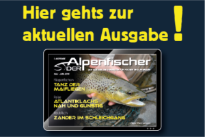 Fischen, Angeln, Berge, Alpen, Bodensee Austria, Süddeutschland, Schweiz