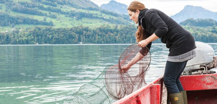 Berufsfischerin Vieerwalstättersee, Schweizerischer Berufsfischerverband SBFV
