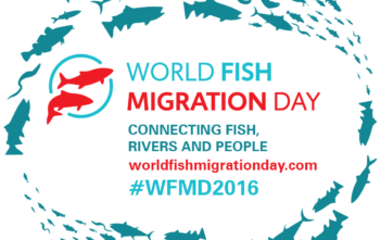 World Fosh Migration Day 2016, WWF