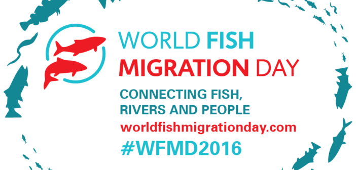 World Fosh Migration Day 2016, WWF