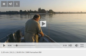 Berufsfischer Bodensee, Fangzahlen Bodensee, Rhein, Alpenfischer, fischen, angeln