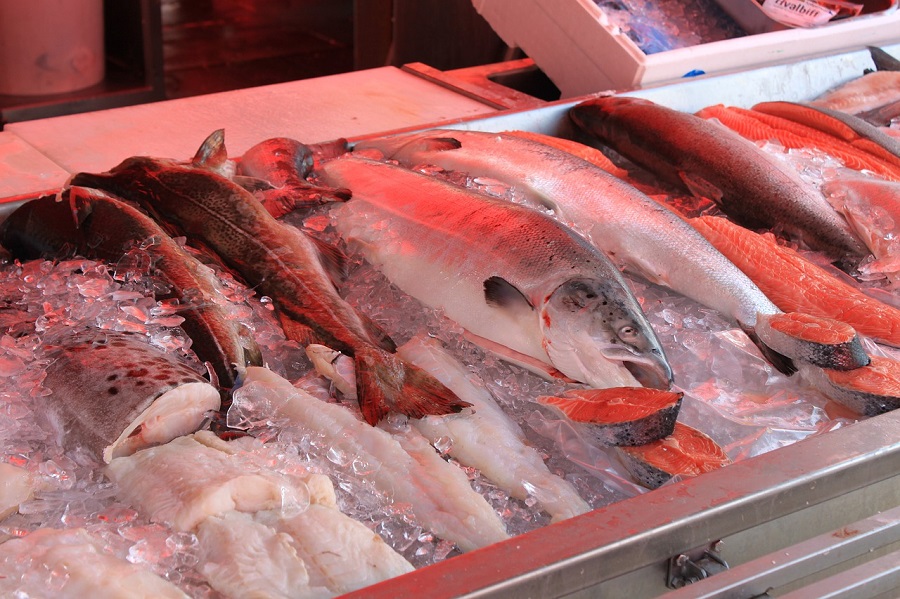 Omega-3-Fettsäure, Fische, ALpenfischer, Nahrungsmittel Fisch, Angler